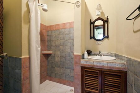 Bathroom with a walk-in shower, single sink vanity, and rectangular mirror.